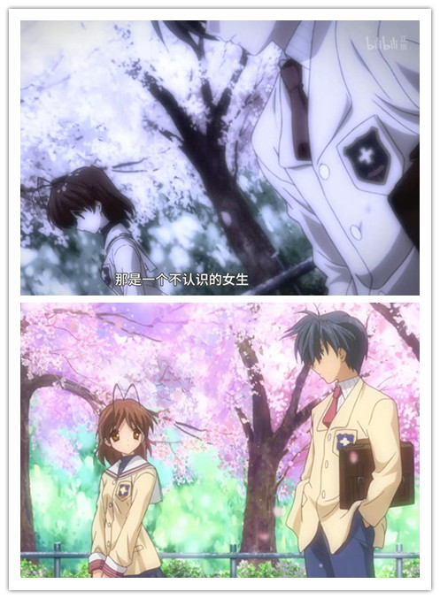 动漫中樱花的意义,日本动漫中樱花文化