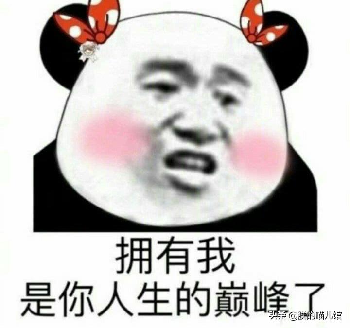 舒化牛奶猫可以喝吗,人喝的牛奶猫能喝吗