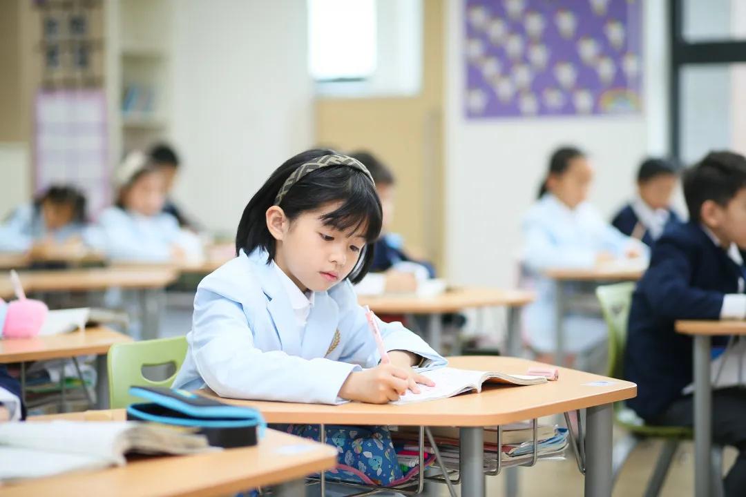 芬兰教育培训模式,芬兰教育如何走下神坛