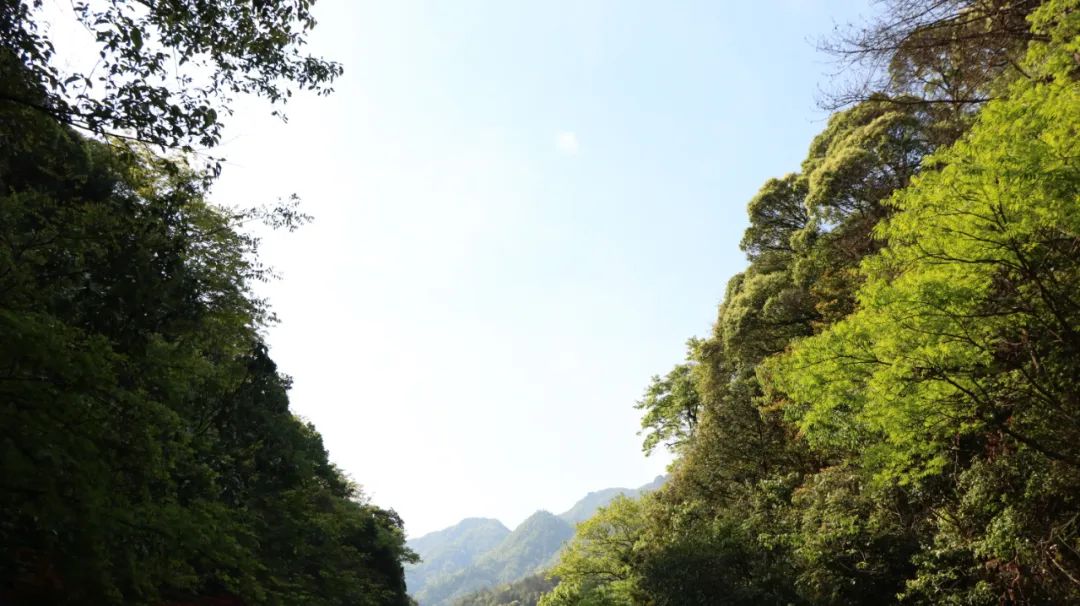 石台仙寓山附近哪里好玩,石台仙寓镇云里居