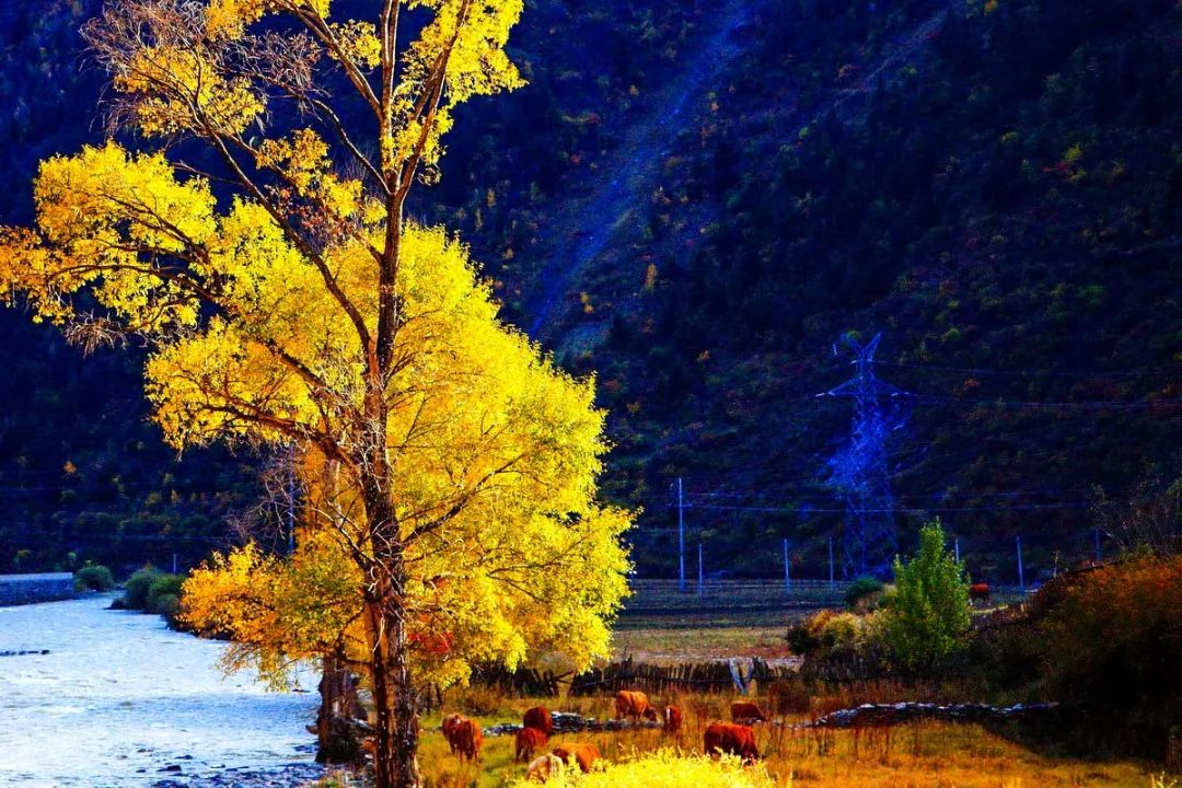 川西最美自驾游环线,川西最美越野路线