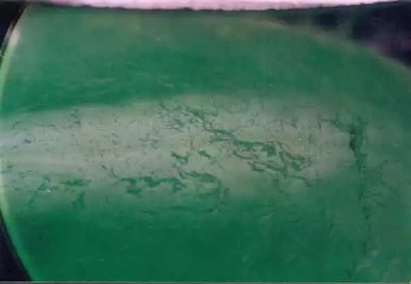 翡翠a.b.c货怎么区分,翡翠b货和c货密度多少