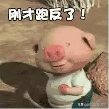 新加坡用什么上网,新加坡上网怎么上