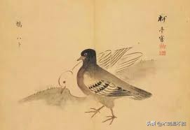 诗经中关于鸟的句子,诗经中寓意美好的鸟