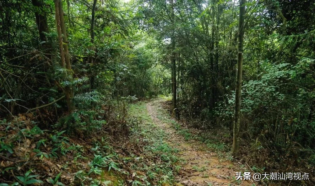 潮汕旅游梅县路线攻略,梅州周边潮汕旅游