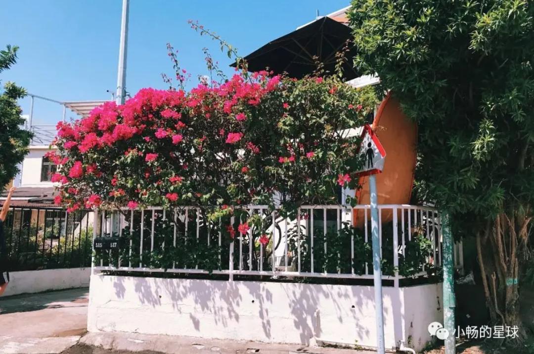 看完《喜宝》被气死，顶级富豪们最爱住的石澳道究竟是啥样？