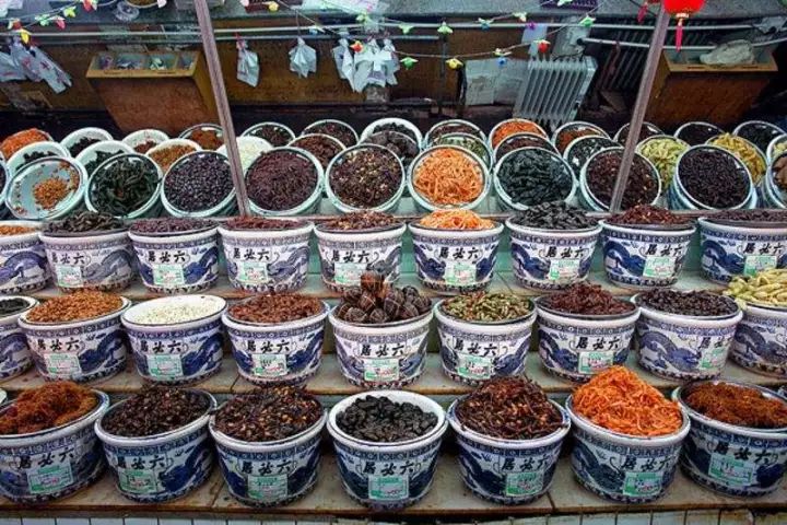 农村田地适合做什么生意,农村利用闲置的院子加工什么最好