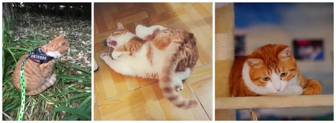 你们年纪轻轻的,不要碰这些东西,不然就像我一样