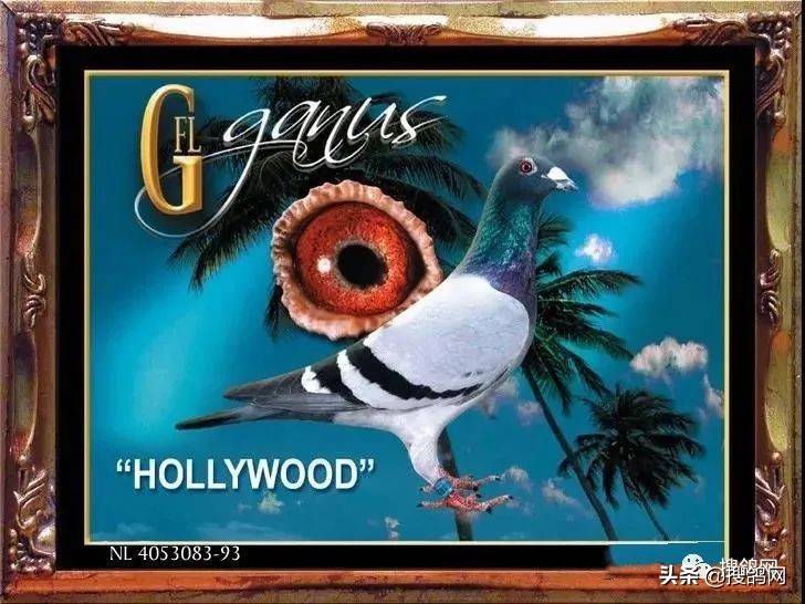 传奇后代,甘纳斯金马斯顿图片