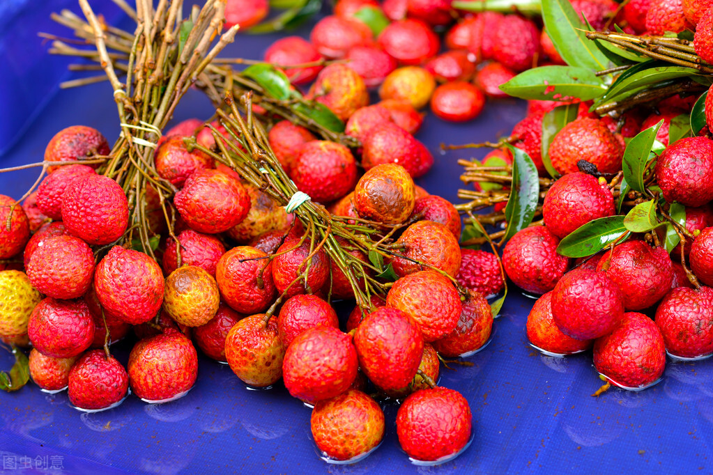 荔枝快熟了被虫蛀了,荔枝快坏了可以吃吗