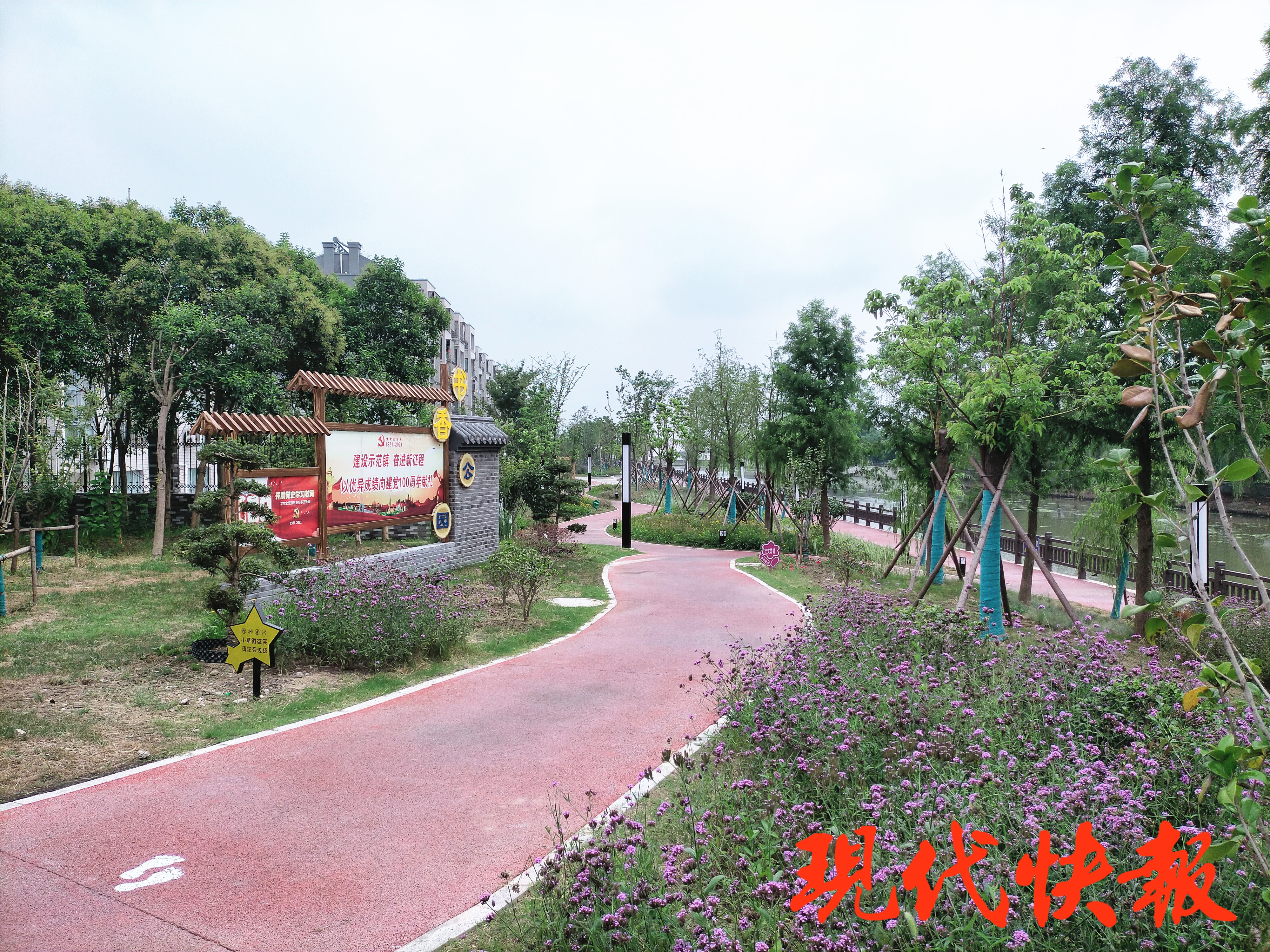 盐都区龙冈镇建设美丽乡村气势正起