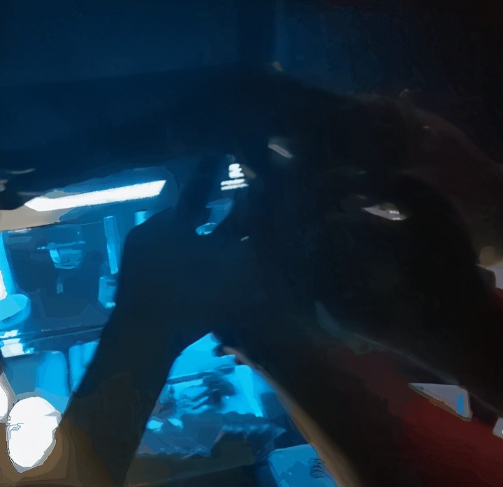 冰封神龙套有多少瓶,冰封神龙套完整视频