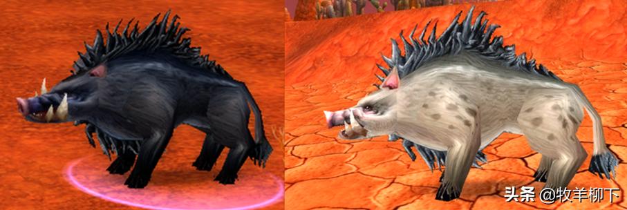 魔兽怀旧服猪学什么技能,魔兽怀旧服野猪宝宝可以学习撕咬吗