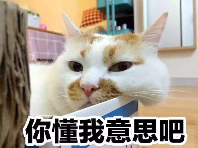 迷笛裙子哪个牌子好看,迷笛裙适合什么人穿