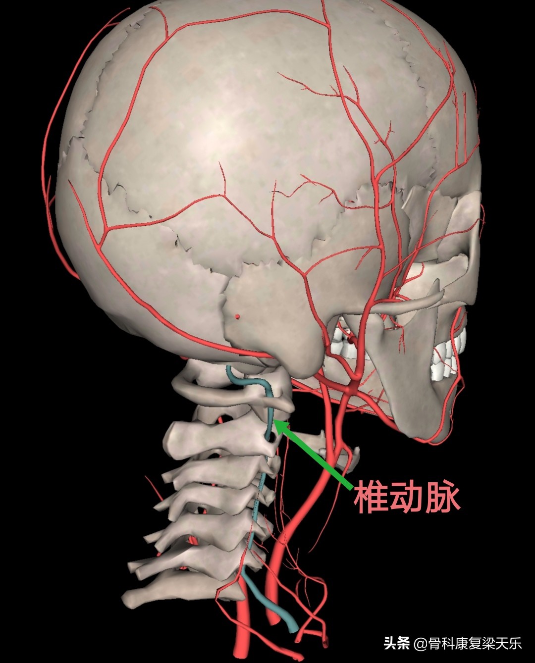 眼睛模糊颈椎僵硬怎么回事,眼睛胀胀的看东西模糊