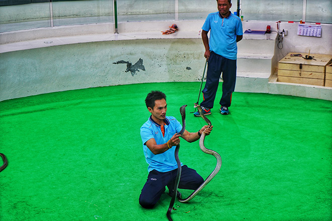 普吉岛七日游报团多少钱,跟团游去普吉岛注意事项