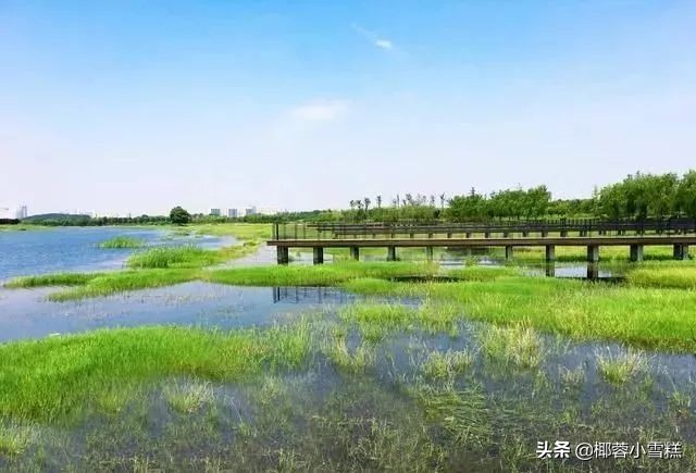 郑州适合晨跑的地方,郑州晨跑圣地