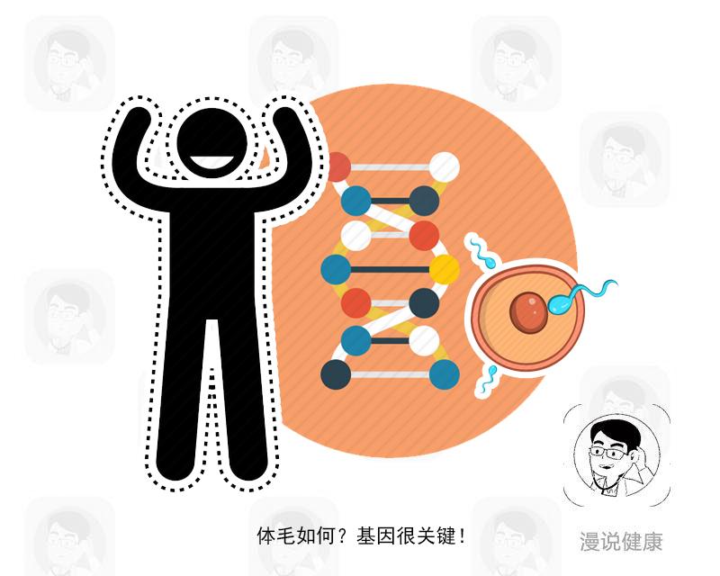 明明有头发毛囊为什么不长,明明头发长为啥显得不长