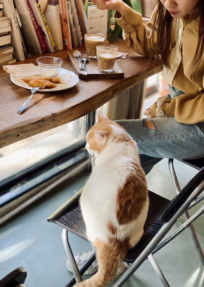 撸动物的网红店顺德,撸小动物的网红店北京世纪金源