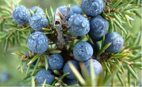 敏感肌皮肤过敏要怎么办,敏感肌脸部过敏最简单的处理方法