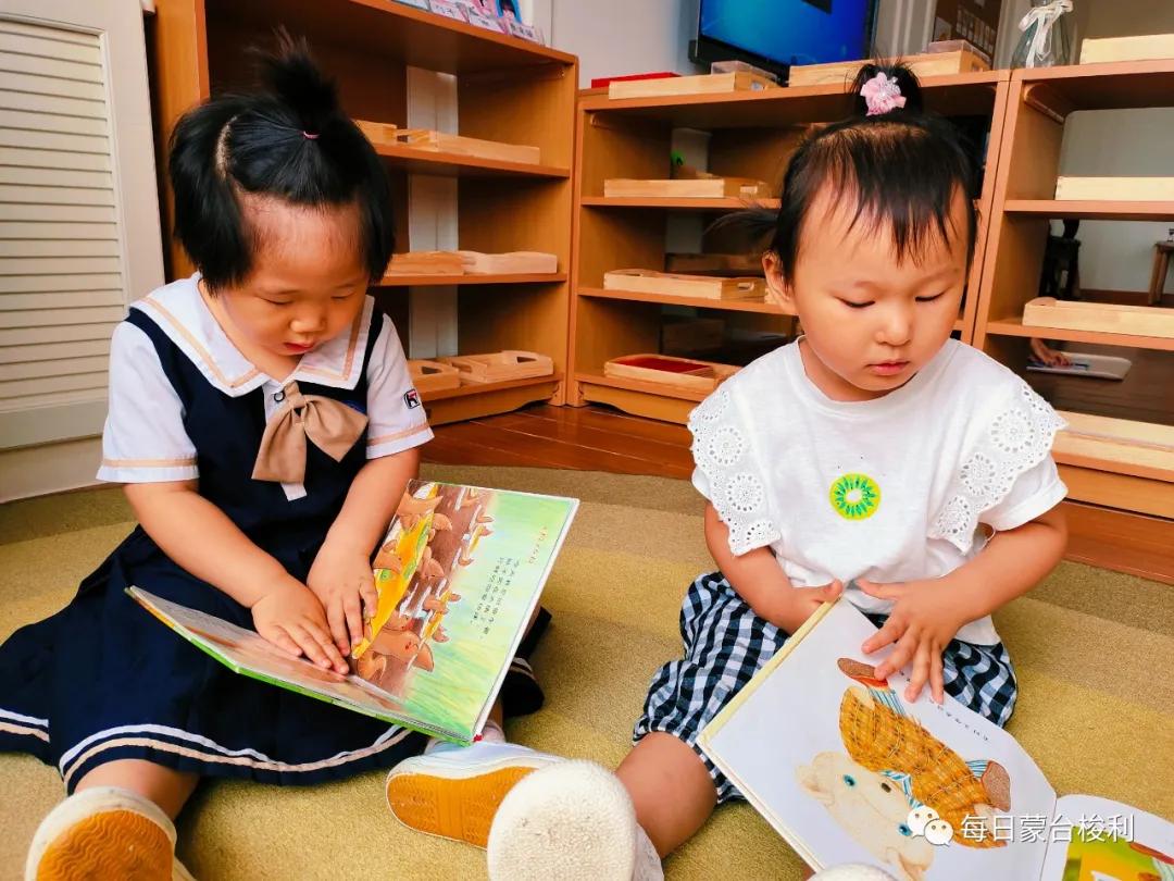 蒙台梭利0-3岁孩子主要的人类倾向,蒙台梭利2岁孩子特别听话