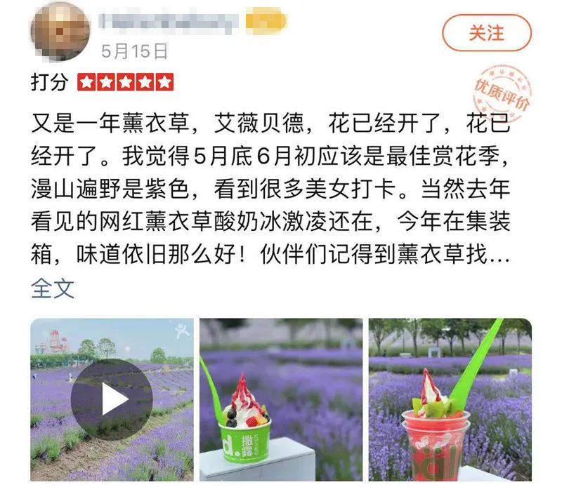 上海最大薰衣草公园,上海薰衣草公园迪士尼