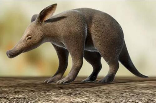 山海经中哪些是人类发现的,山海经中哪些真实存在的生物