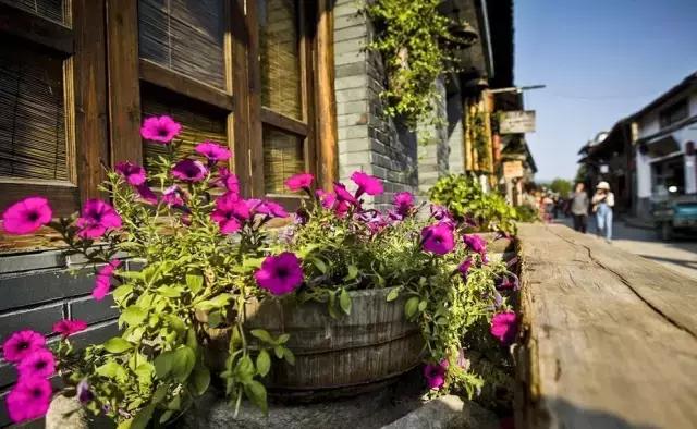 楠溪江山水画,永嘉楠溪江山水画视频