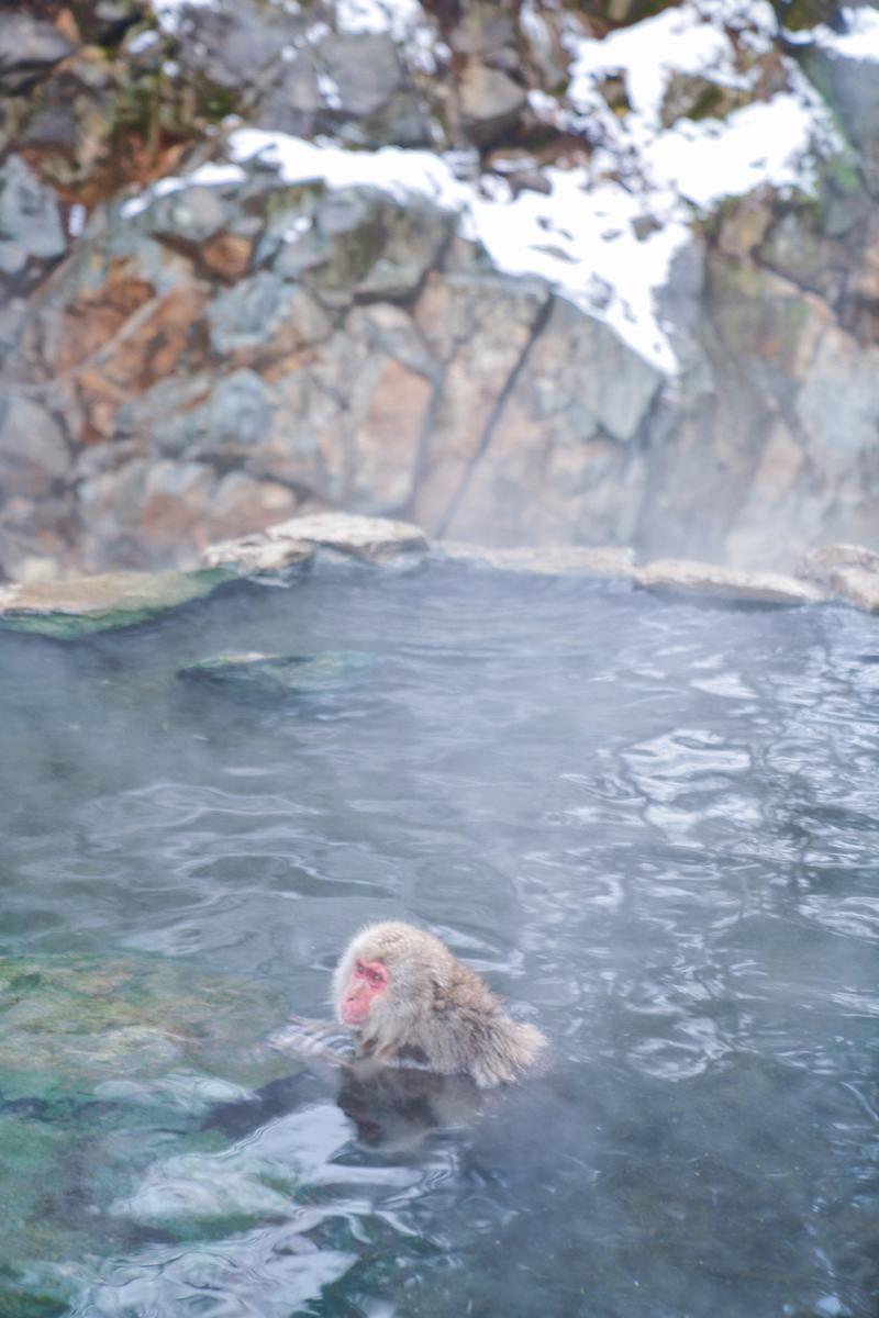日本小众路线冬,日本冬天观光公路