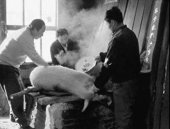 记录60后70后的童年生活,80后的童年回忆真实记录