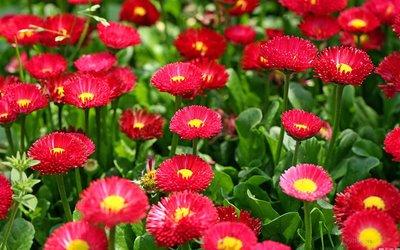 贵州省教育综合改革实施方案,黔南州都匀市乡村振兴战略