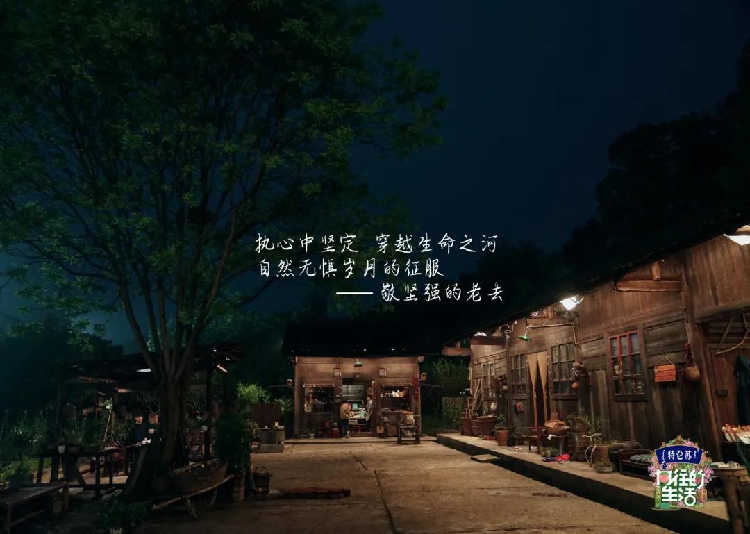 向往的生活1-6季文案,向往的生活一屋两人三餐四季文案