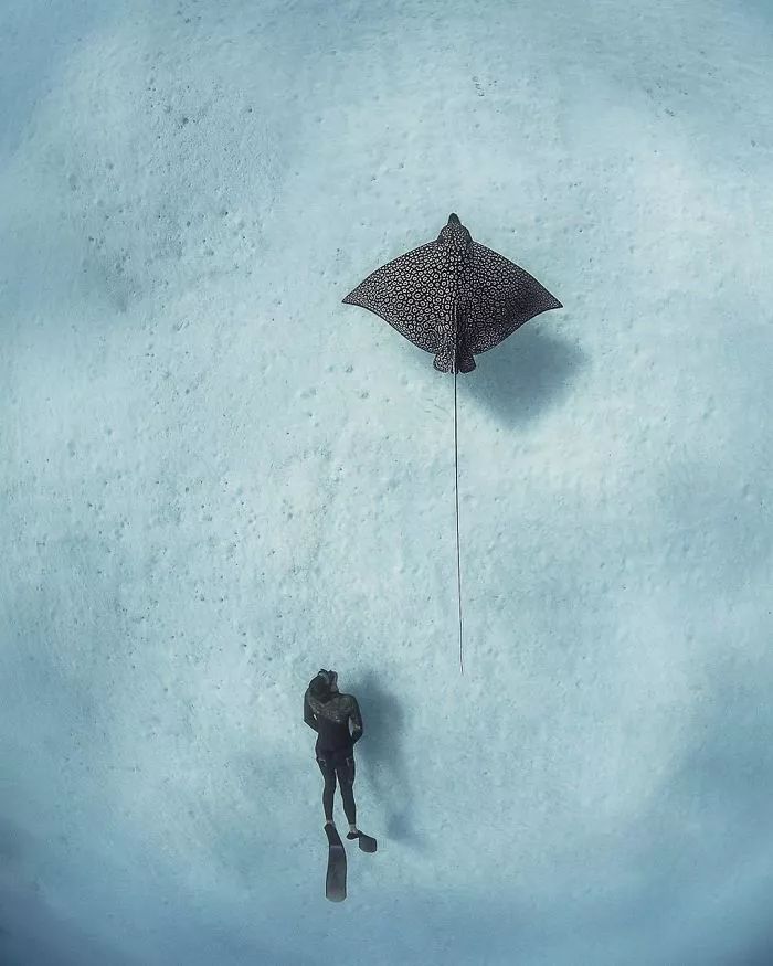 国家地理摄影大赛作品,2018年国家地理优秀作品欣赏