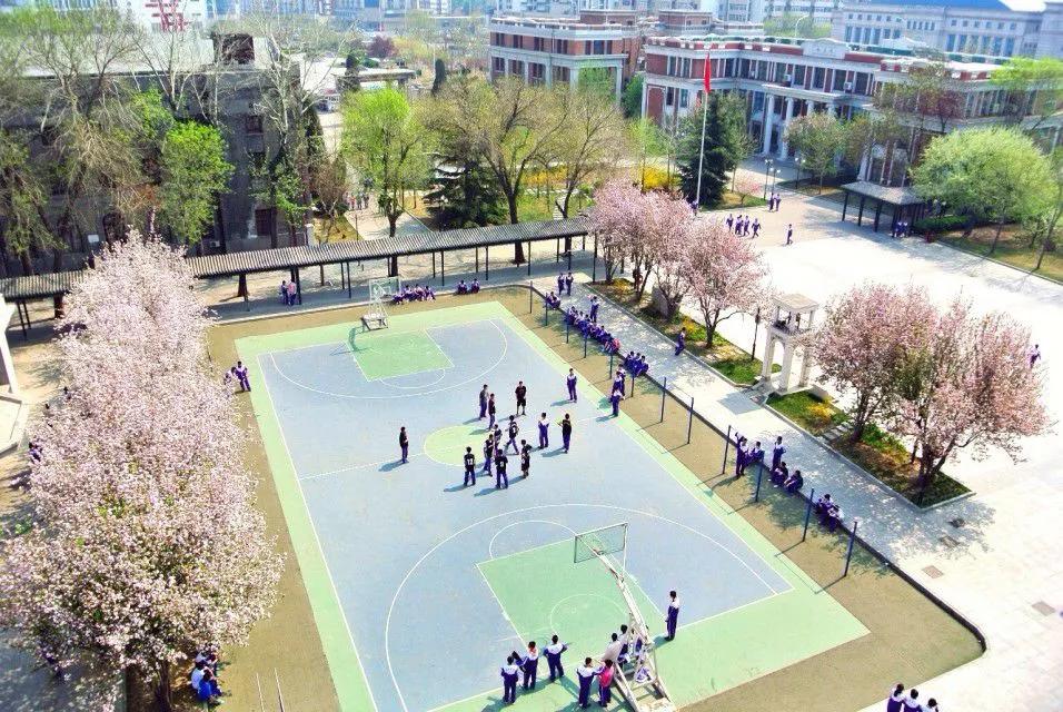 天津红桥高级中学,天津高级中学