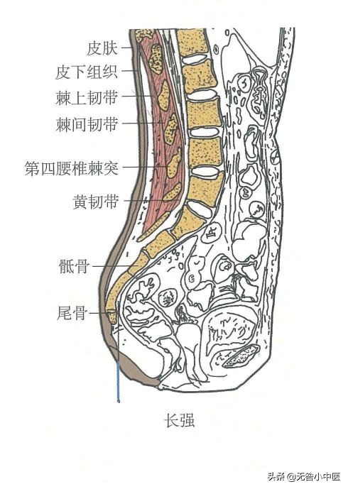 针灸2个小时正常吗,针灸2.5寸怎么量