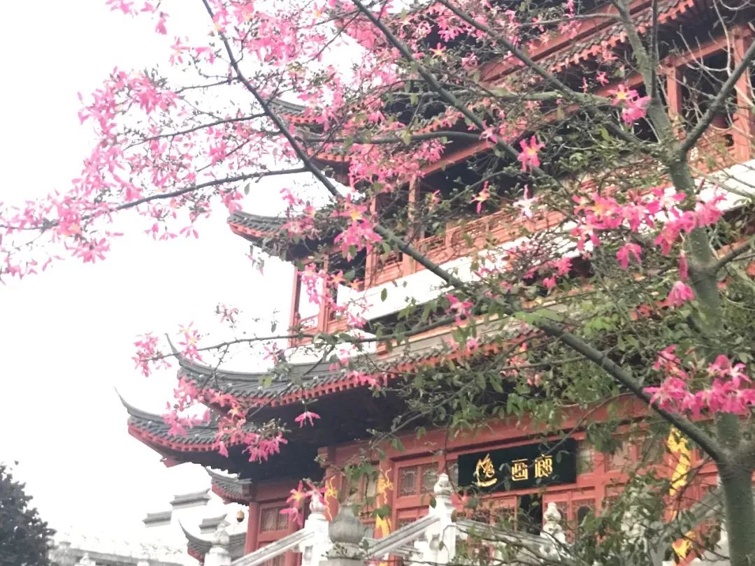 艺术论坛|刘晨:未君在工笔重彩领域是有突破性贡献的