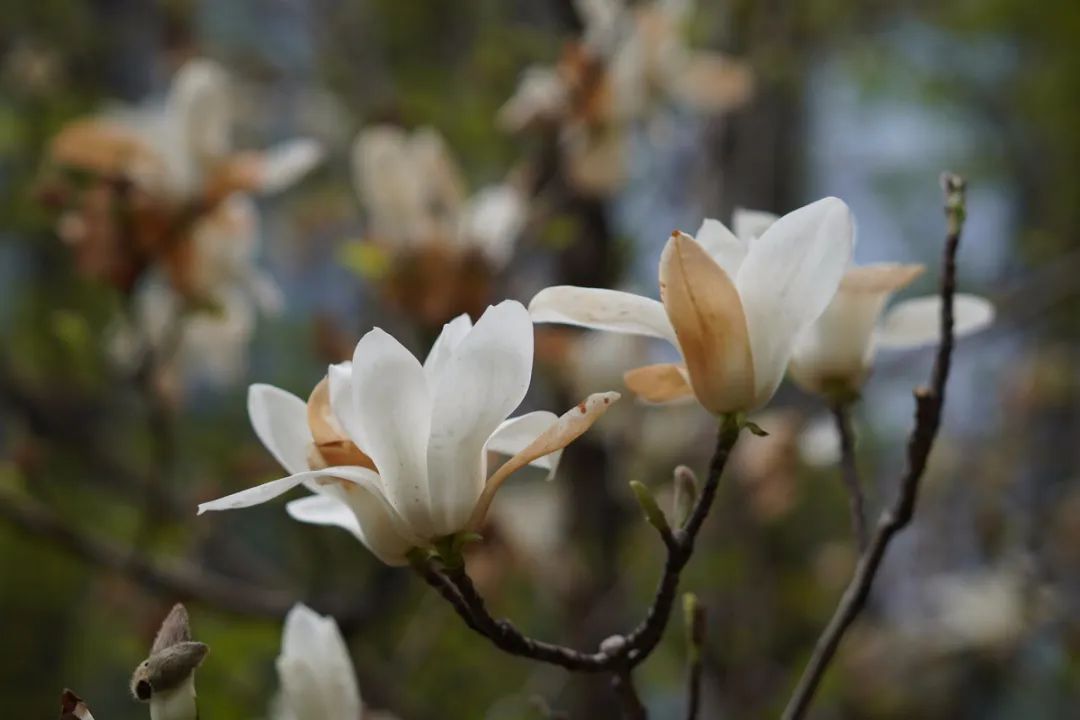 最值得入手的501.8镜头,501.2镜头值得购买吗