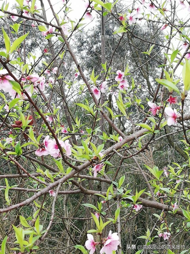 广安方坪乡，寻找传说中的朝阳洞