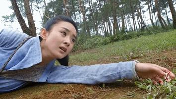 中国电视剧特效退化史:AI换头没《西游记》逼真,投资4亿效果5毛