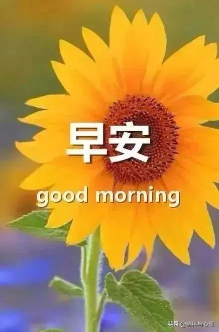 温暖的早安心语一句话正能量短句,早安心灵鸡汤励志正能量短句