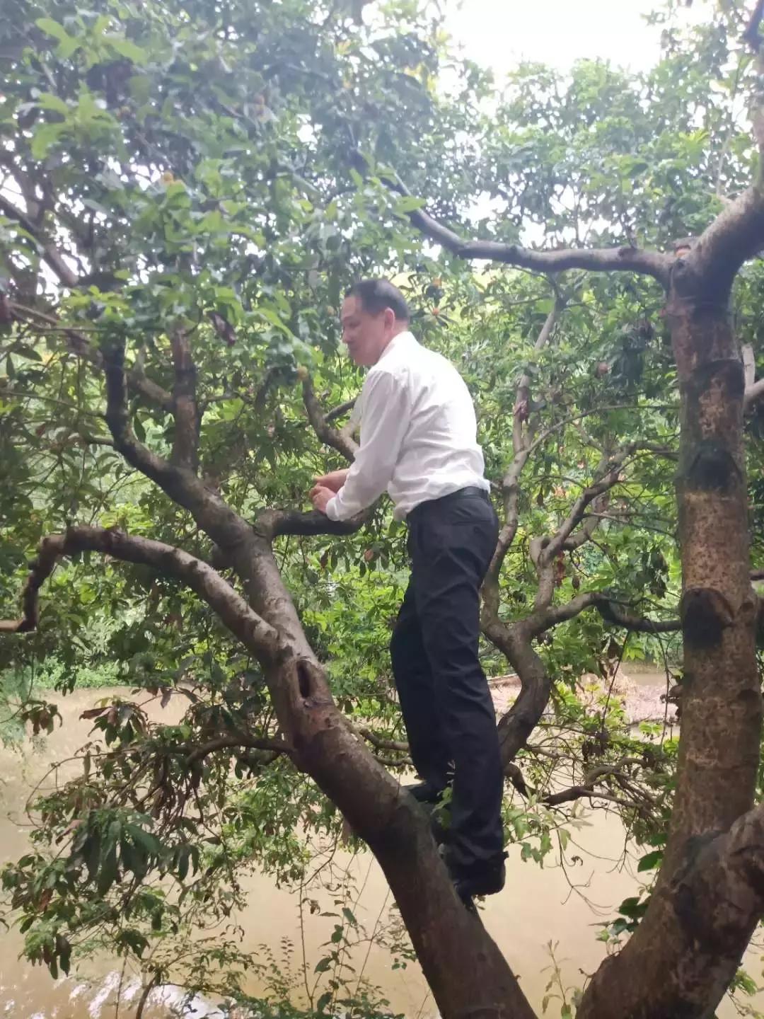 2022年寿仙谷杯省运会,寿仙谷比赛