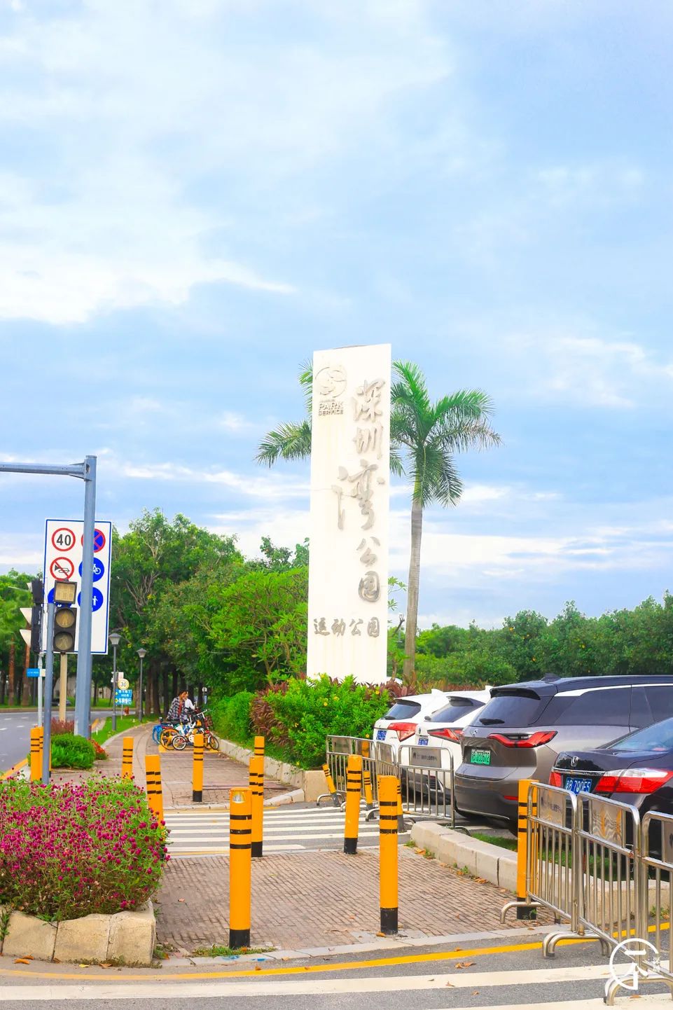 测评深圳湾,我直接被房租劝退