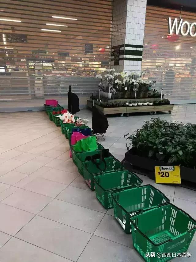 澳洲中国大妈抢奶粉,华人在国外抢奶粉