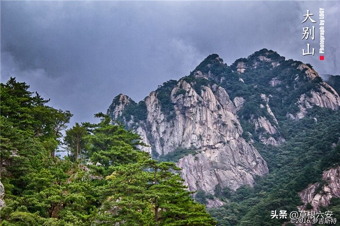 不输黄山迎客松的迎客松,不输黄山的景点