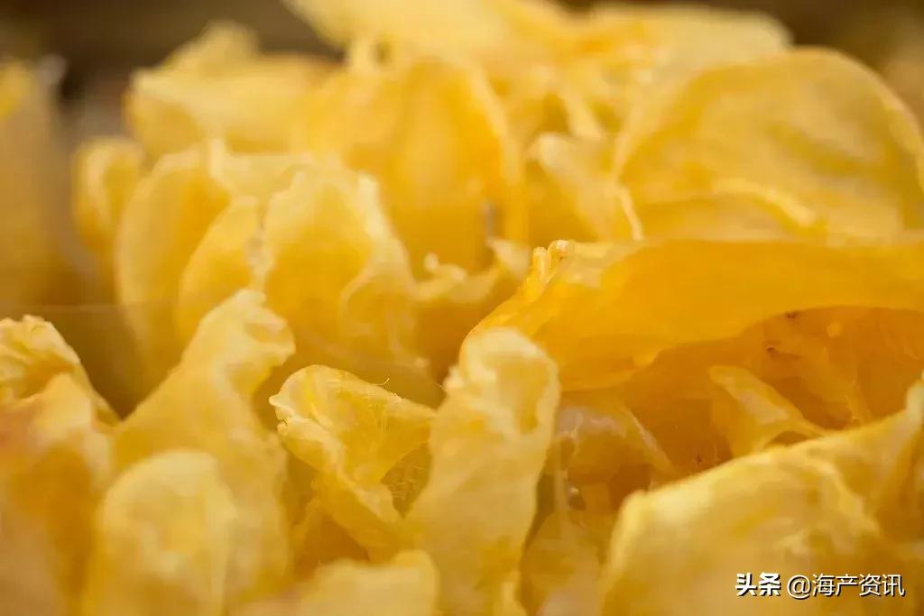 怎么区别花胶公母有教程,花胶公母区别方法图解