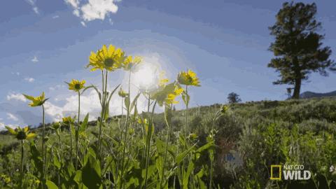 莫干山环山溯溪野奢美宿,奢到极致