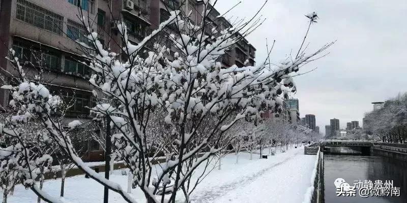 黔南新一轮天气情况表,贵州下了今年的第一场雪