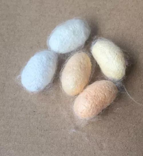 蚕吐丝是为了排出毒素吗,蚕吐丝发生在哪一阶段