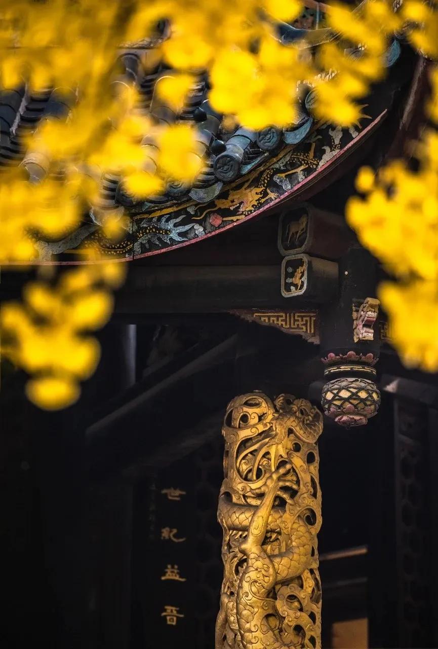 靠着一首歌走红全网视频,靠一首歌火爆全网