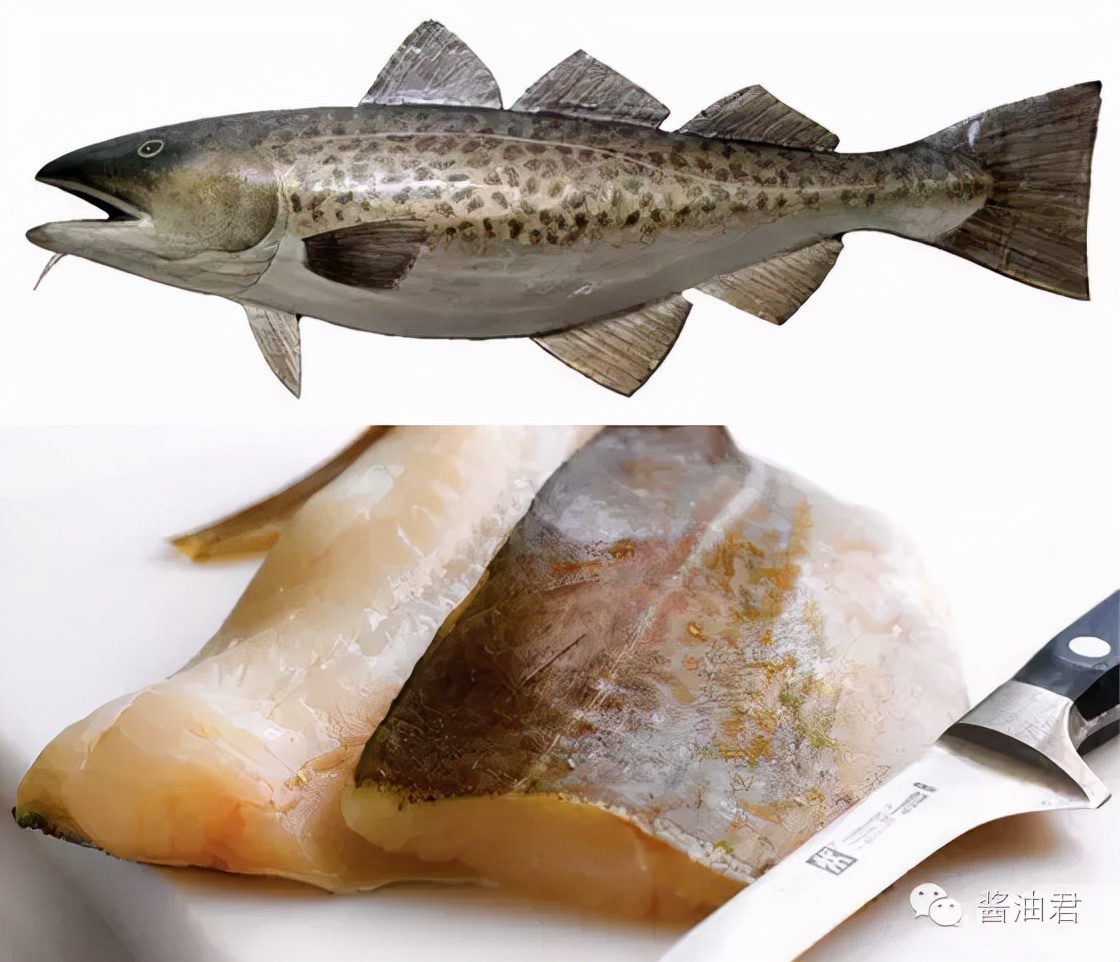 美国超市有哪些鱼,英国超市一般有什么鱼